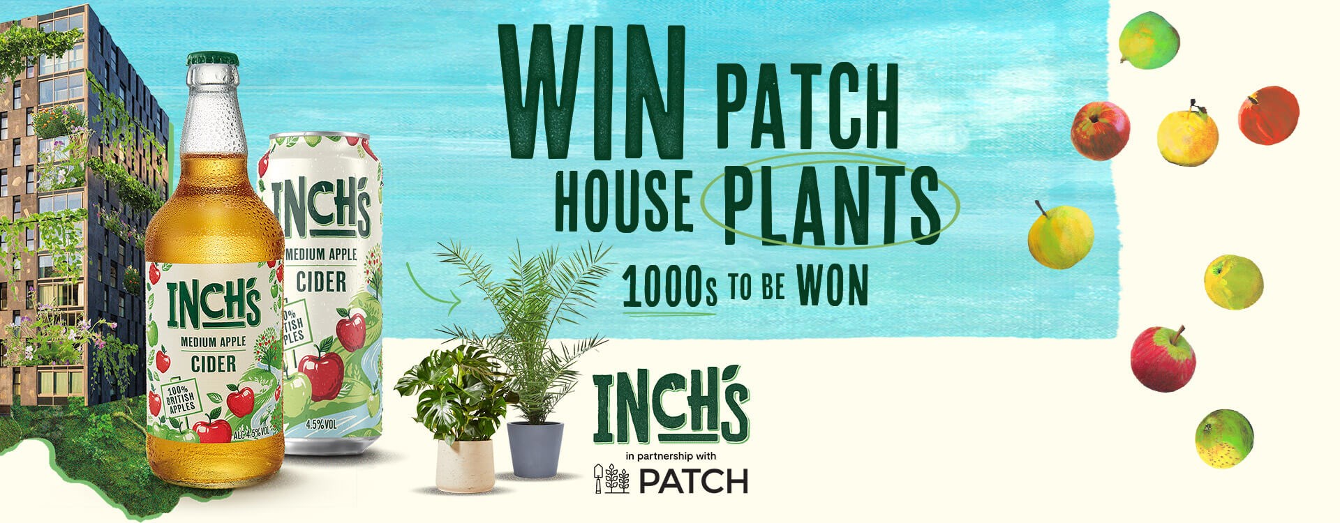 Win patch house plants banner